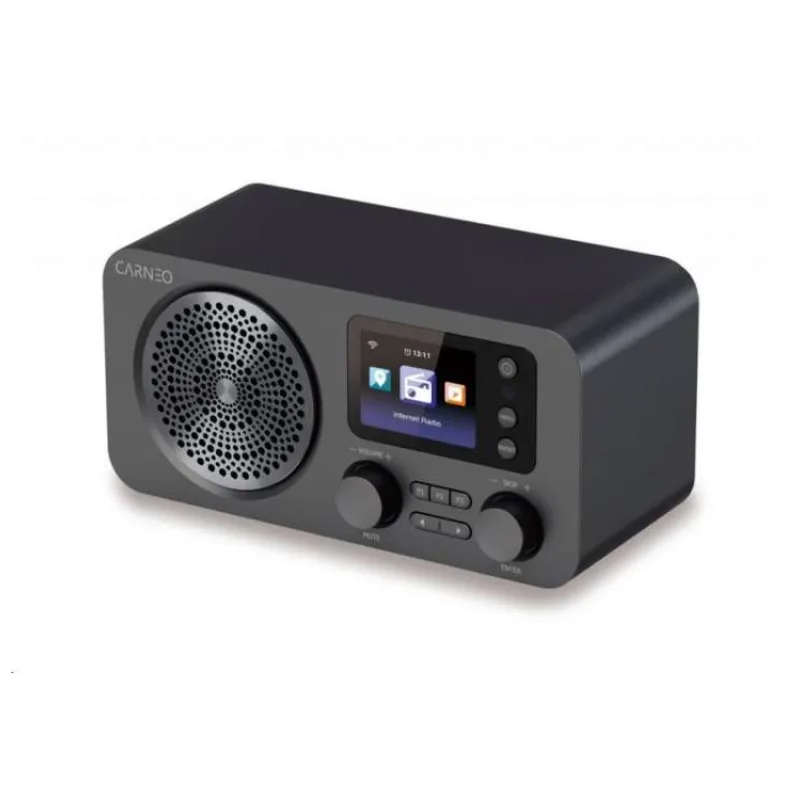 CARNEO IR700, Internetové rádio, DAB+, FM, BT, čierny (8588007861906)