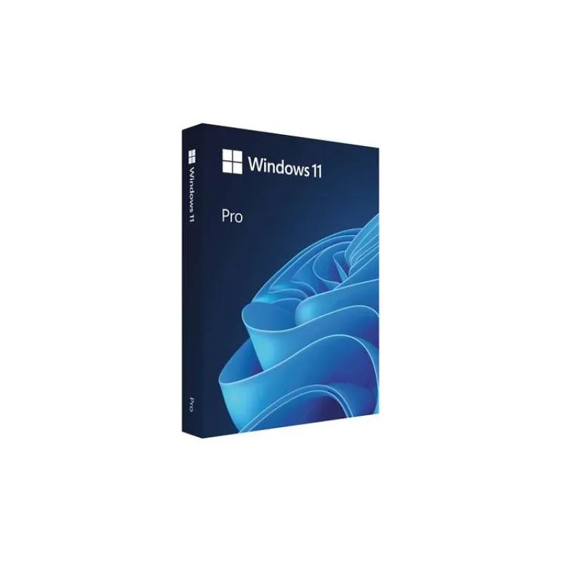 Windows Pro 11 64-bit Eng USB (HAV-00163)