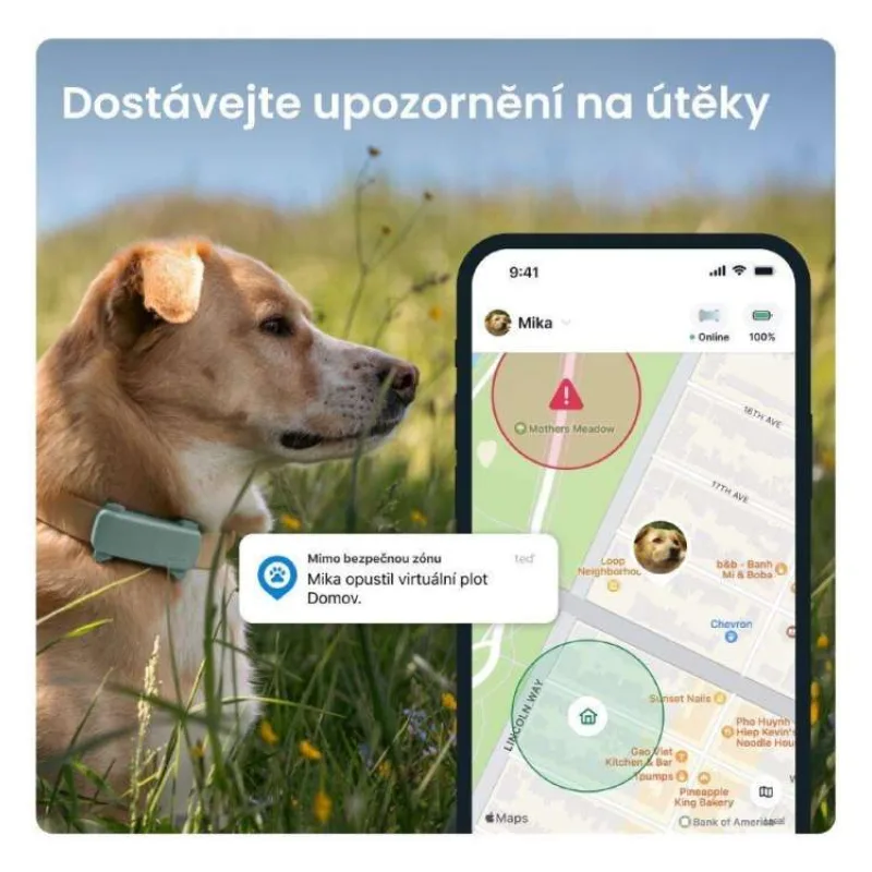 Tractive DOG 6 – GPS lokátor pro psy a monitor zdraví, mátový (TRDOG6MT)