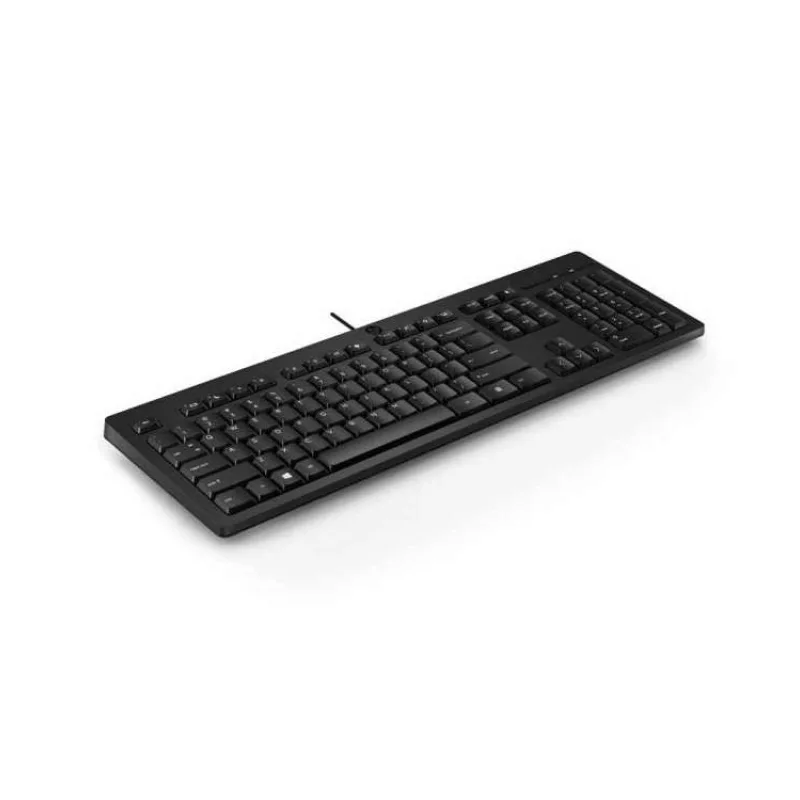 HP 125 drôtová klávesnica CZ/SK/ENG (266C9AA#BCM)