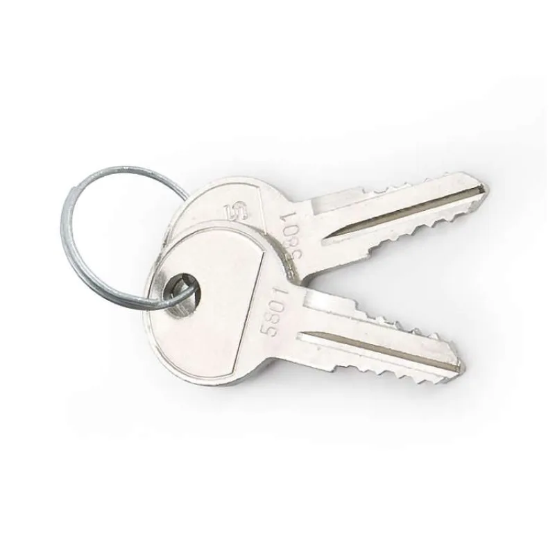 TRITON - Kľúč pre nástenné a stojanové rozvádzače FAB 001 (RAX-MS-X10-X1)