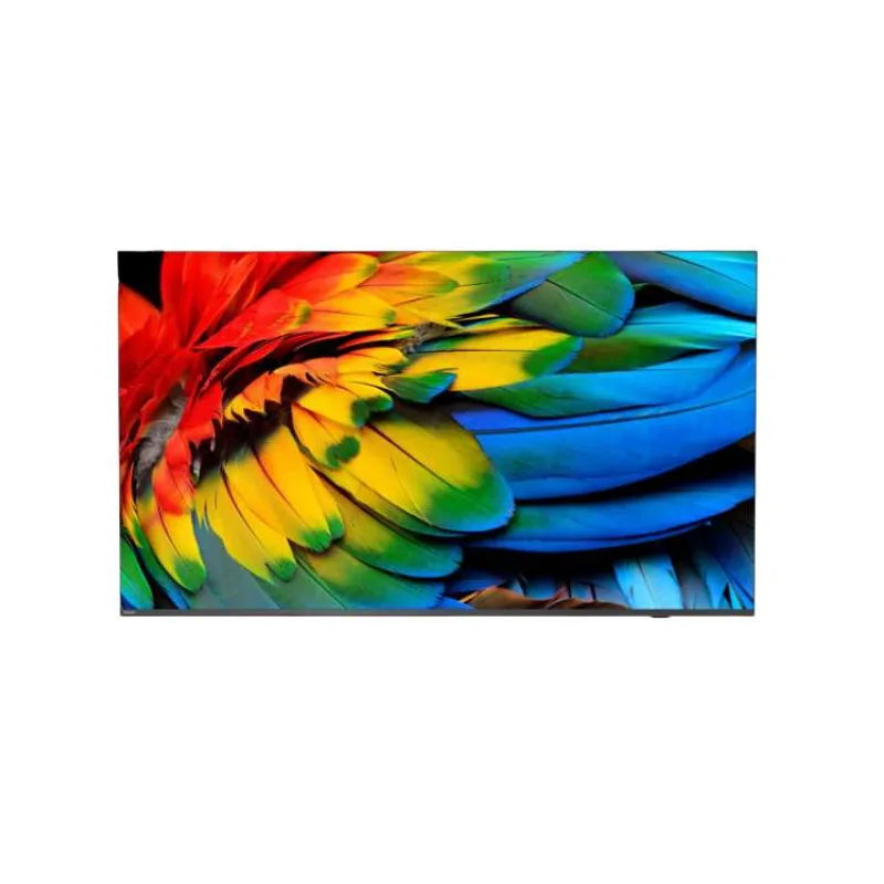 Philips/65HFL6214U/12/65"/4K UHD/Gray (65HFL6214U/12)