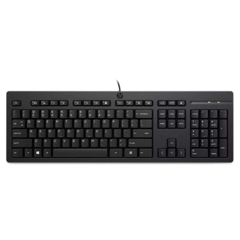 HP 125 Klávesnice Cz Sk (266C9AA)