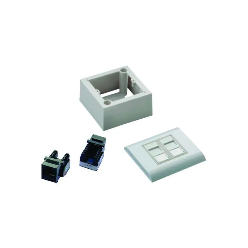 DATACOM UTP 2xRJ45 zásuvka Cat6 (pod aj nad omietku) (2371)