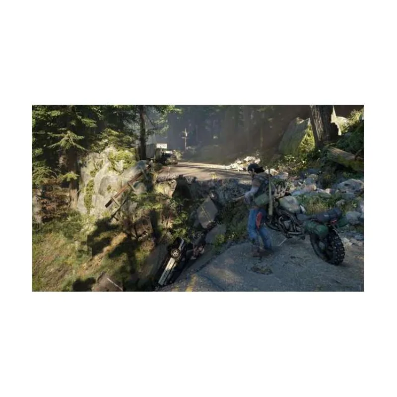 PS4 - Days Gone (PS719796718)