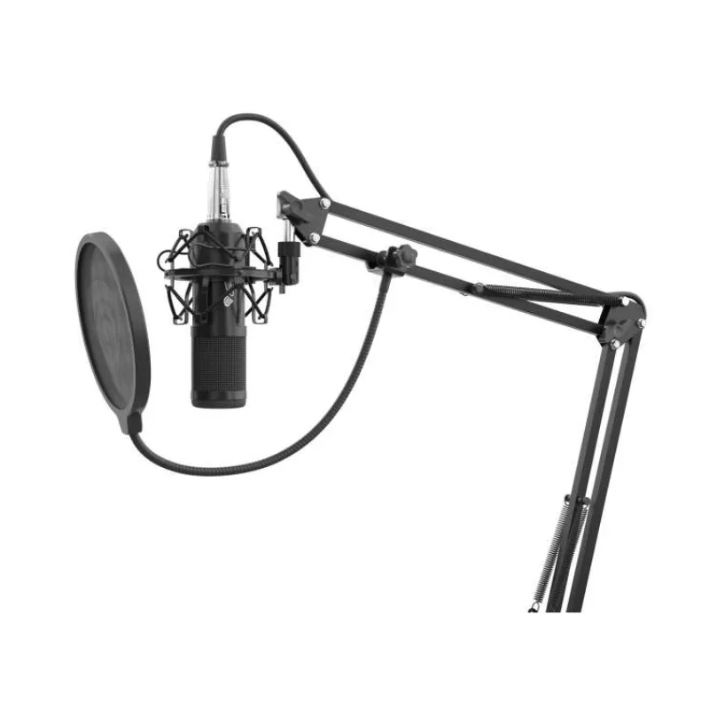 Streamovací mikrofón Genesis Radium 300, XLR, kardioidná polarizácia, ohybné rameno, pop-filter (NGM-1695)