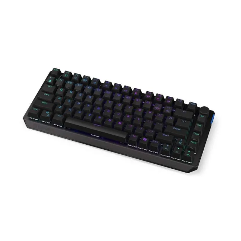 Endorfy herní klávesnice Thock 75% Wireless Black /RGB/ black sw. / bezdrátová / CZ / SK lay. / zkrácená /černá (EY5C008)