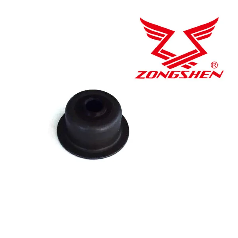 Tesnivo ventilov ZONGSHEN XP200