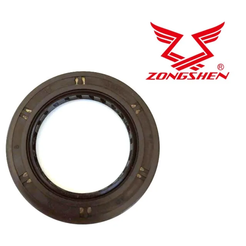 TESNIVO ZONGSHEN XP620