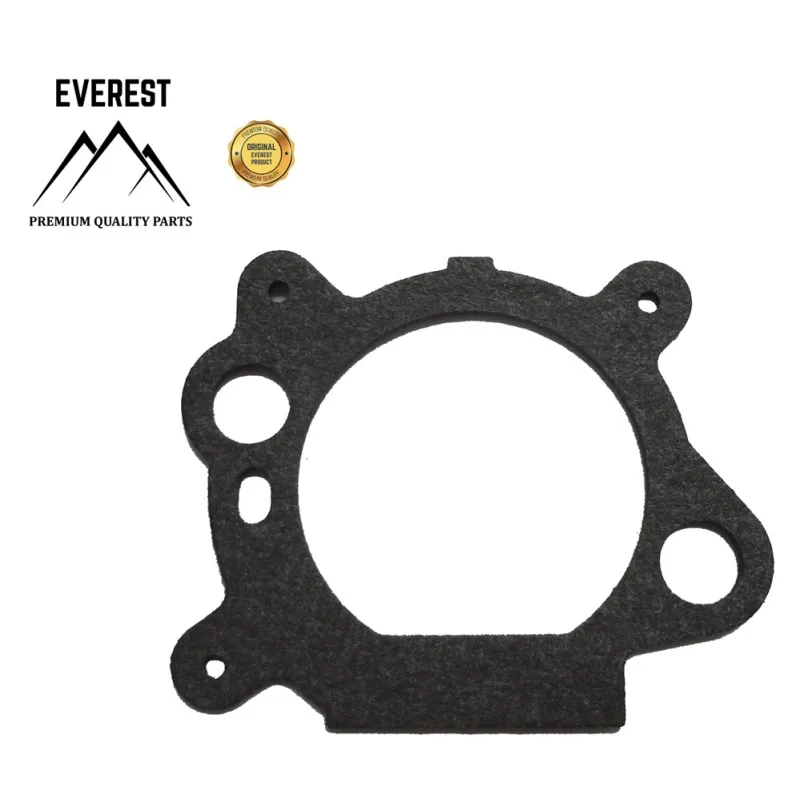 TESNENIE VZDUCHOVÉHO FILTRA BRIGGS&STRATTON QUANTUM