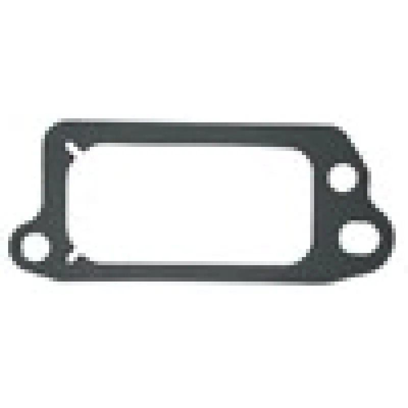 Tesnenie krytie ventilov BRIGGS&STRATTON QUANTUM