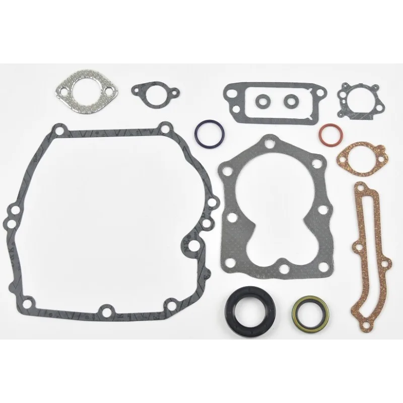 SÚPRAVA TESNENÍ BRIGGS&STRATTON QUANTUM