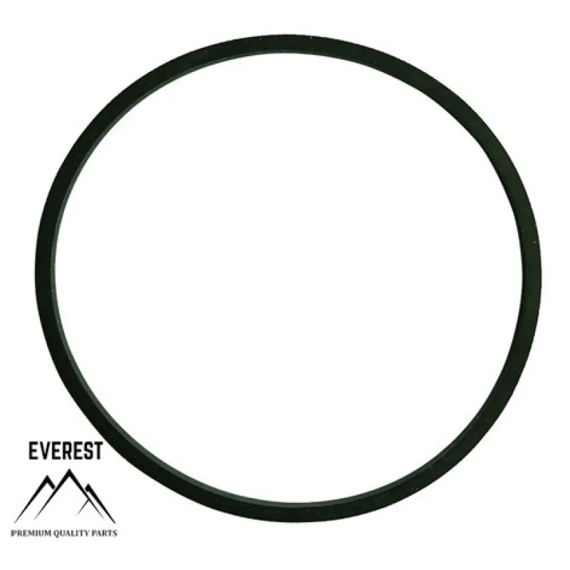 TESNENIE BRIGGS&STRATTON 281165S