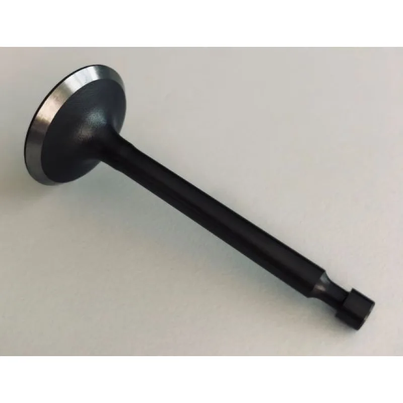 Sací ventil ZONGSHEN XP200