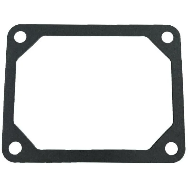 Tesnenie krytie ventilov BRIGGS&STRATTON V-TWIN