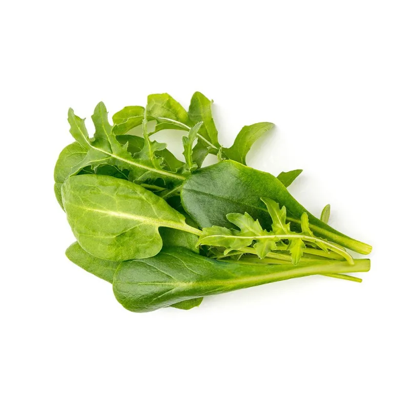 Smart Garden Mix zelených šalátov 3-pack PCW-080