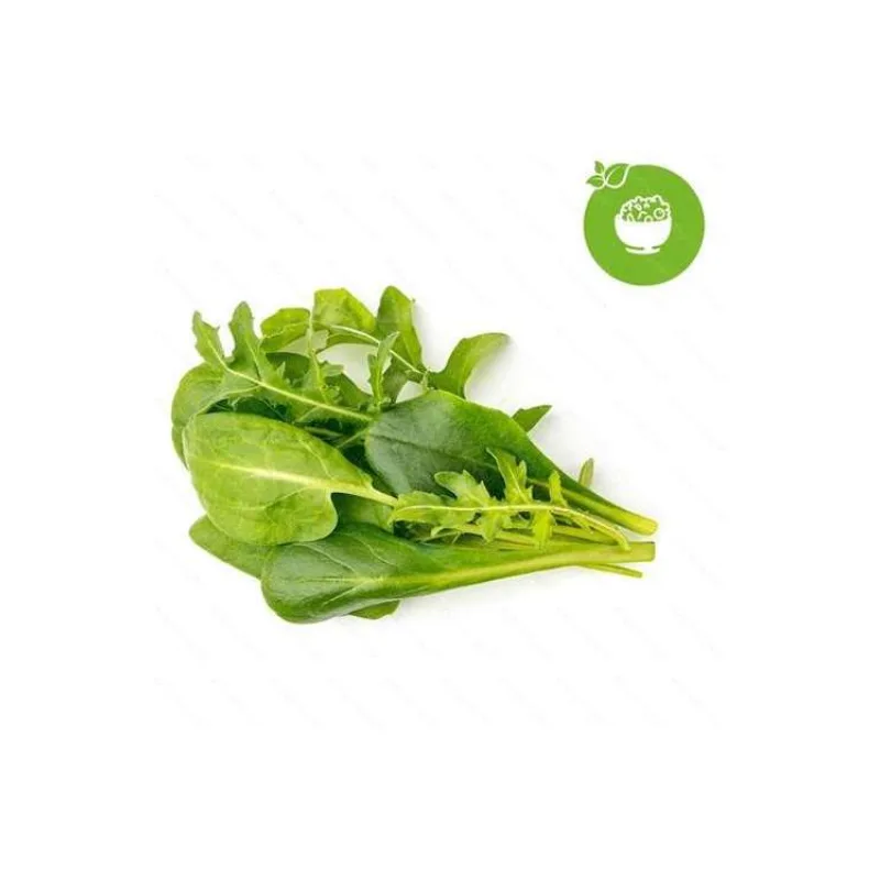 Smart Garden Mix zelených šalátov 3-pack (PCW-080)