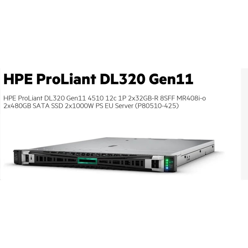 HPE DL320 G11 4510, 64 GB, 2 x 480 GB SDD, RPR P80510-425