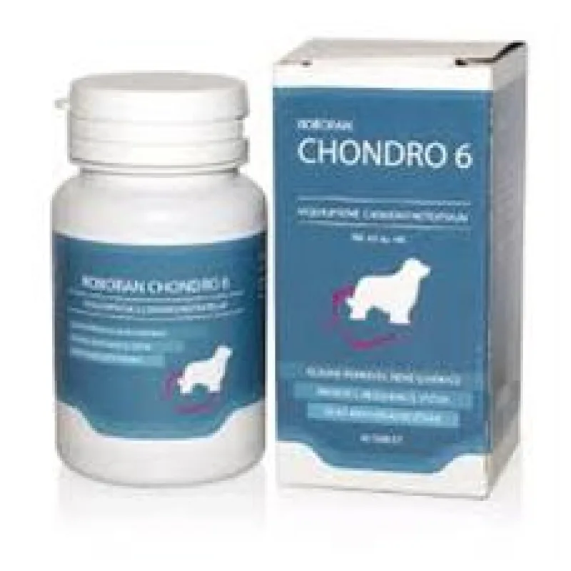 Roboran Chondro 6 Pro Psy 60 tbl - exp. 11/25 - 1 KS SKLADEM