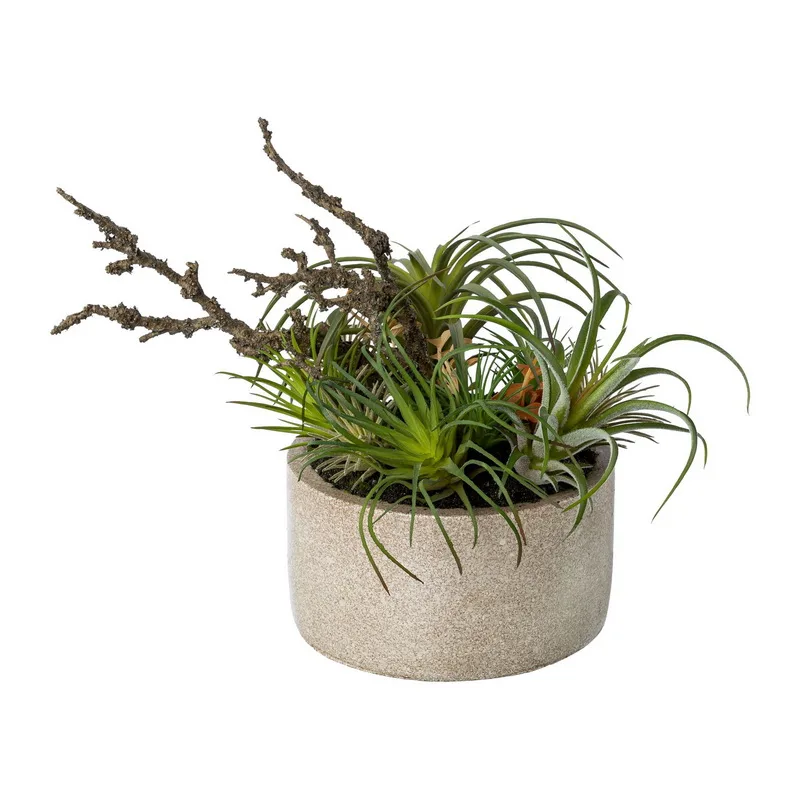 Mix sukulentov v kvetináčoch, 26cm