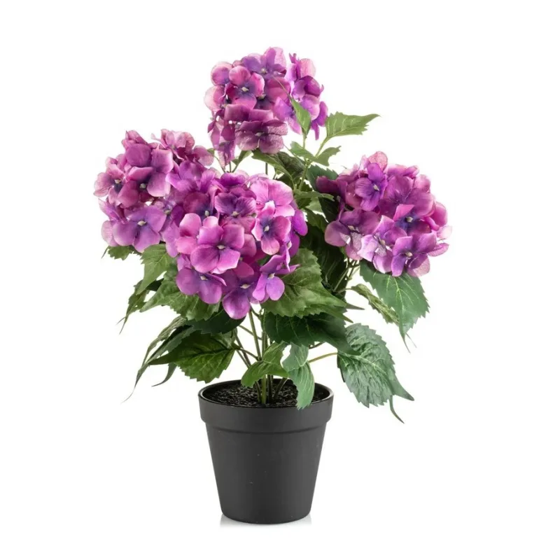 Hortenzia fuchsiová v kvetináči, 38cm