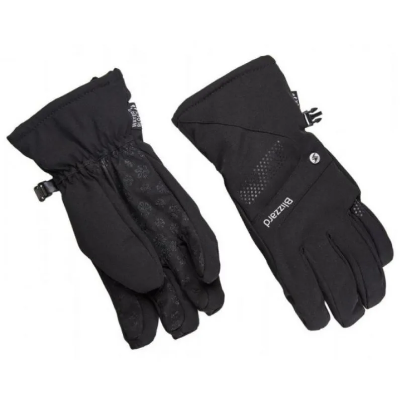 Sjezdové rukavice Blizzard Viva Alight ski, black 2022/23