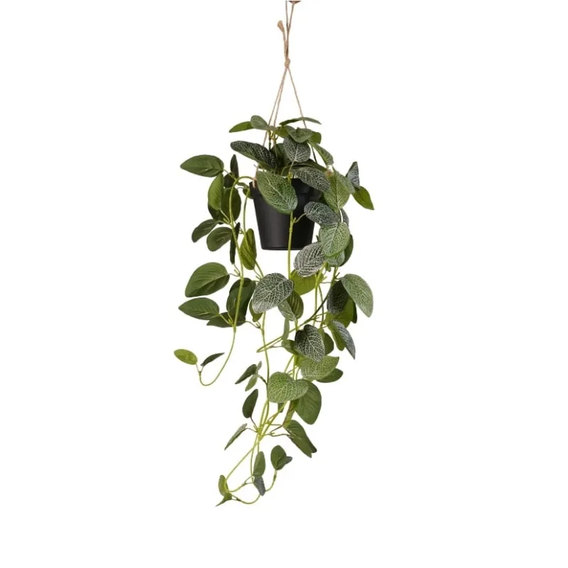 Umelá Fittonia v závesnom kvetináči, 70cm