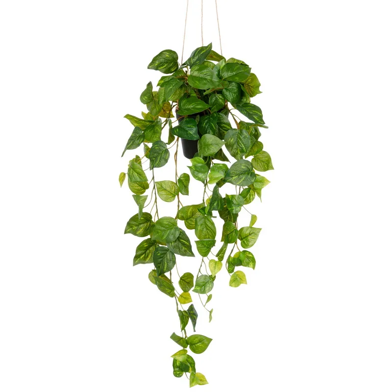 Umelá popínavá rastlina Philodendron popínavý závesný, 75cm