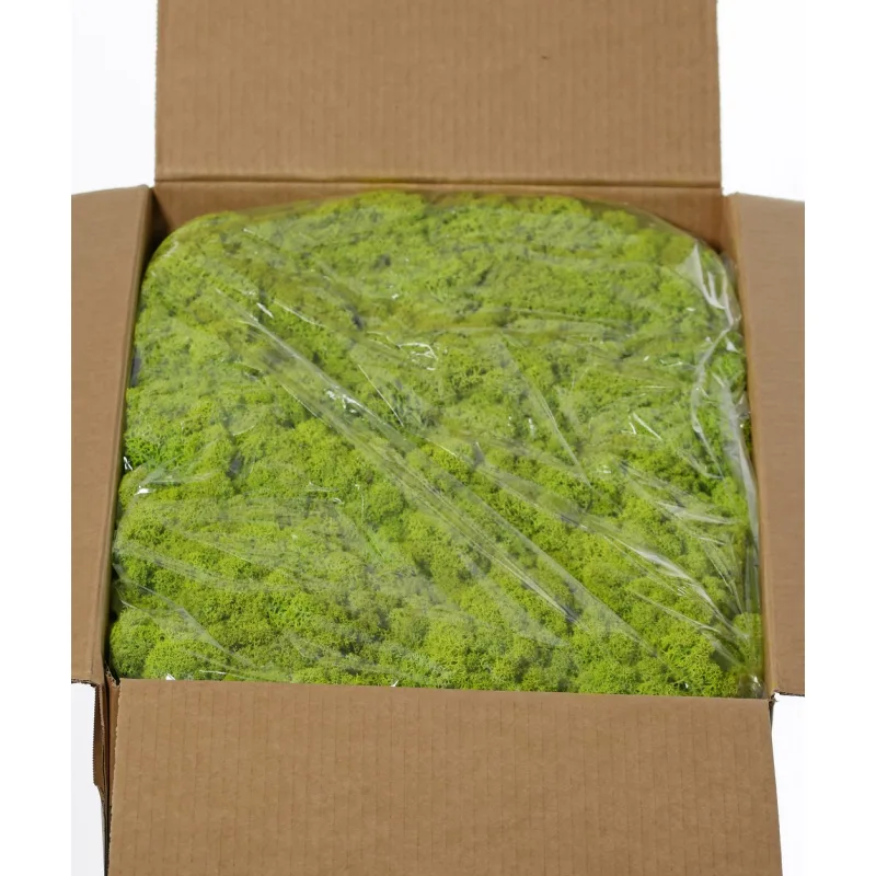 Dekoračný stabilizovaný mach svetlo zelený v boxe 5kg