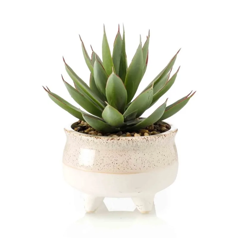 Umelý Echeveria kaktus v kvetináči, 20cm