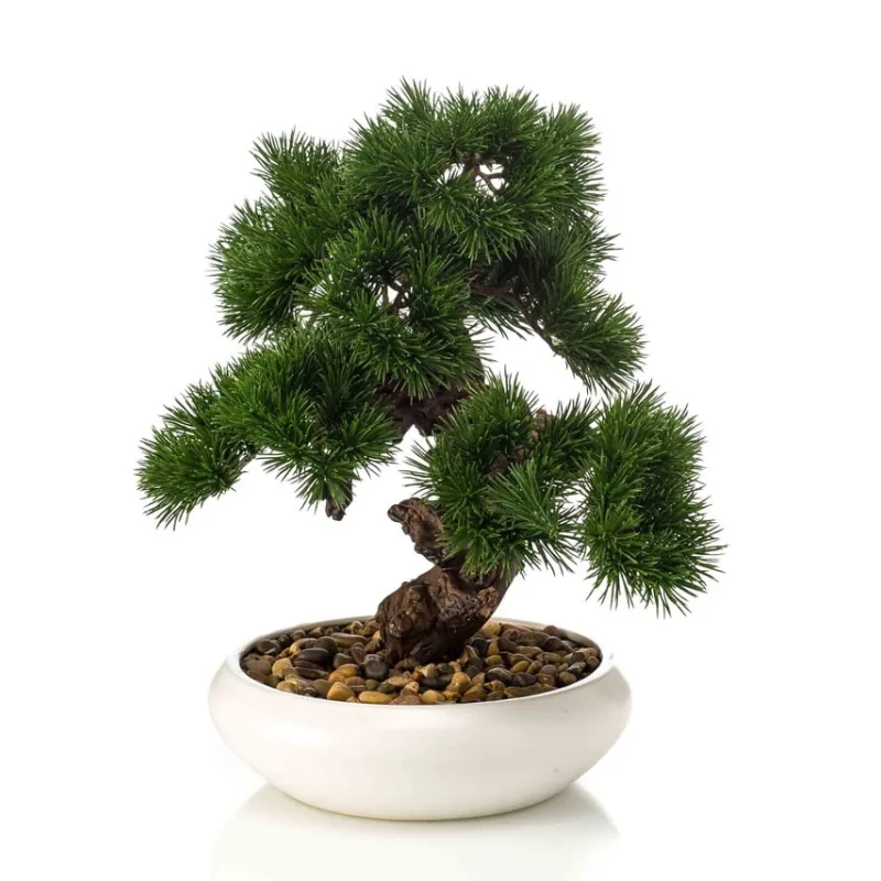 Bonsaj borovice v miske, 37cm