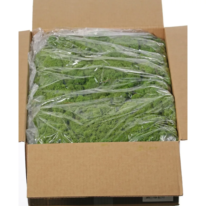 Dekoračný stabilizovaný mach stredne zelený v boxe 5kg