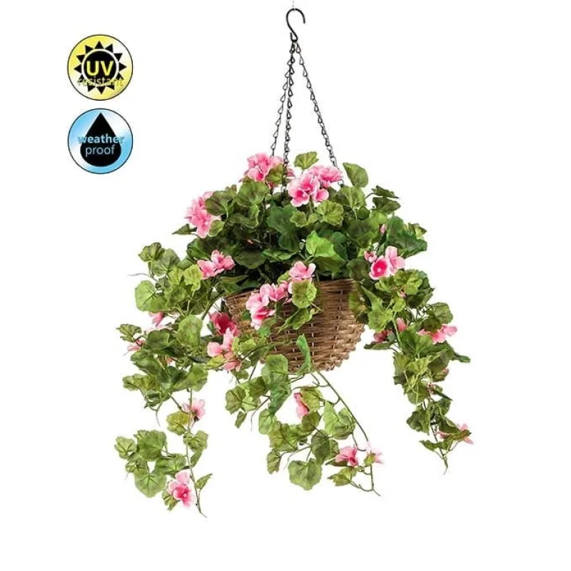 Geránium ružová v závesnom kvetináči vonkajšie, 45cm