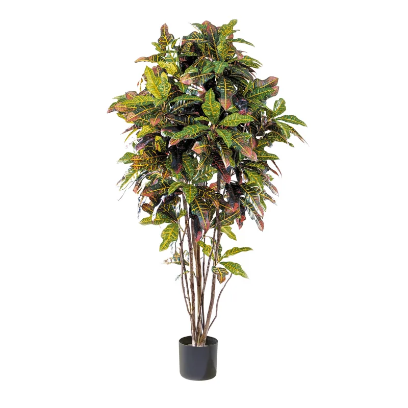 Umelý strom Kroton s prírodným kmeňom, 150 cm