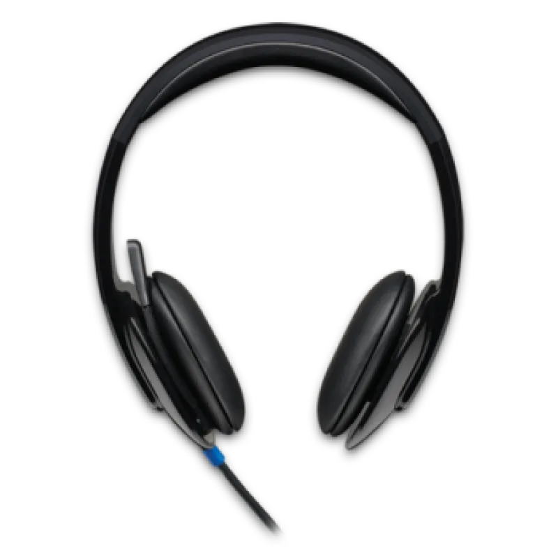 LOGITECH OEM Náhlavní sada Logitech Stereo USB Headset H540 _ 981-000480