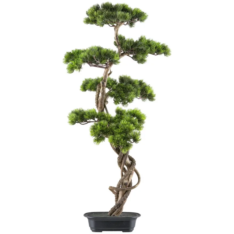 Bonsaj borovice v kvetináči, 90x40cm