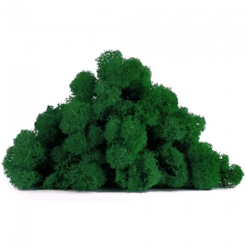 Stabilizovaný mach lišajník DELUXE čistený 0,5 kg - zelený les