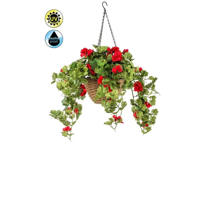 Geránium červená v závesnom kvetináči vonkajšie, 45cm
