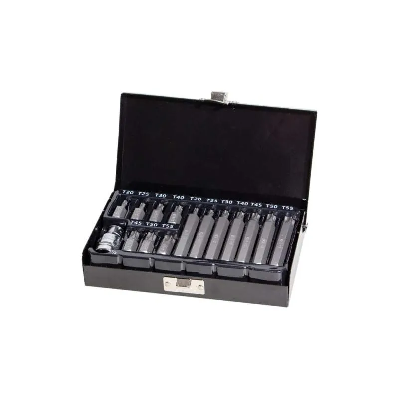 Sada bitov TORX 15 dielna, plechová kazeta