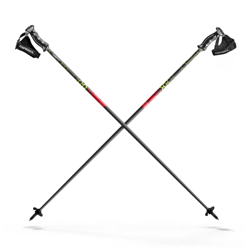 Sjezdové hole Lusti Performance 2023/24