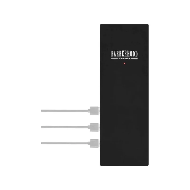 Nabíjacia stanica GAMMA PIÚ USB port HUB STATION