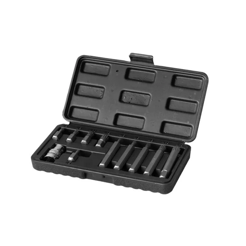 Sada bitov XZN 11 dielna, plastová kazeta