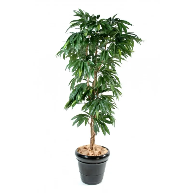 Umelý strom Mango - prírodný kmeň, 150cm