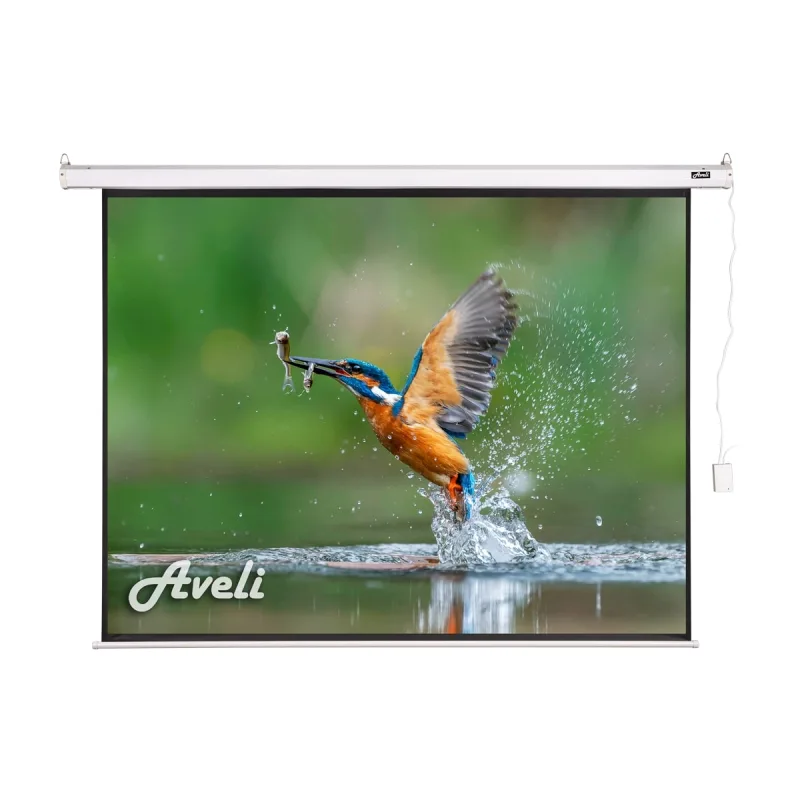 AVELI Elektrické projekční plátno AVELI, 813x610 (4:3) 400" XRT-00181