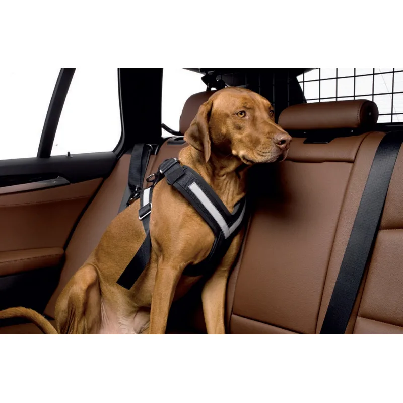 Kleinmetall Bezpečnostný postroj pre psa do auta M