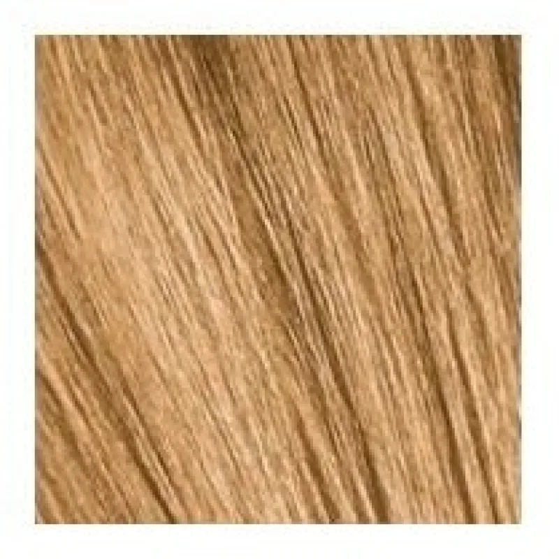 SCHWARZKOPF Igora Royal Absolutes 60ml - svetlá blond prírodná zlatá 8-50