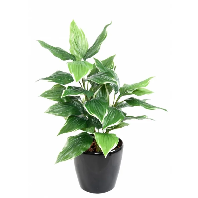 Umelá rastlina Hosťa 28 listov, 70 cm