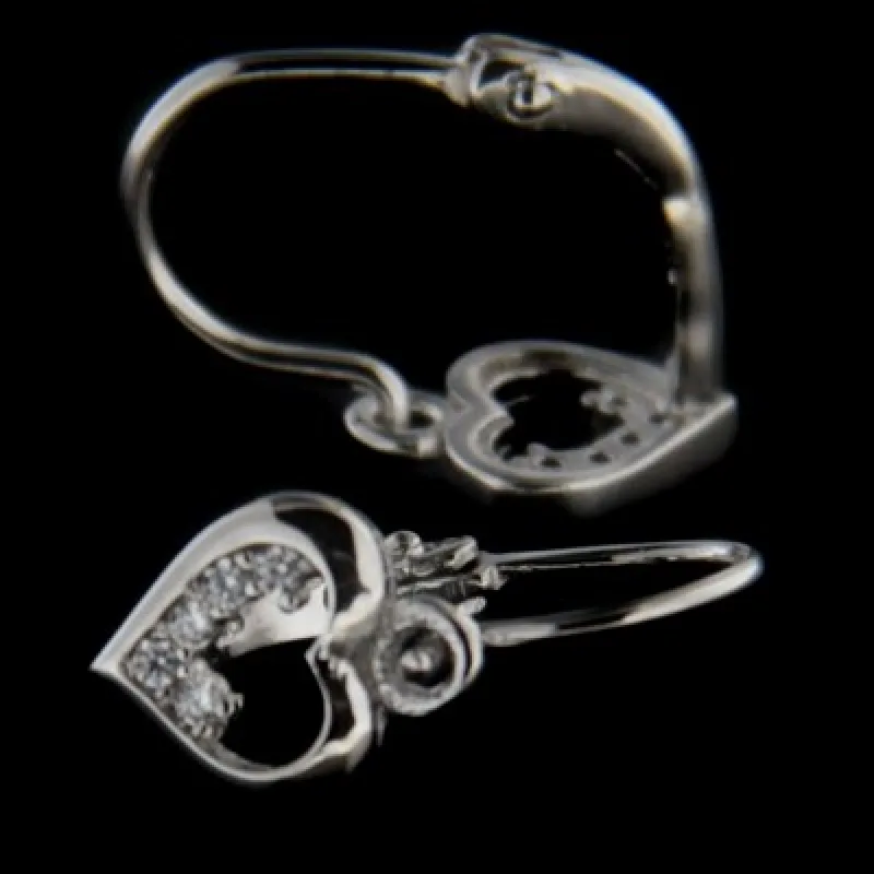 Strieborné náušnice s klasickým zapínaním KA E2830 W