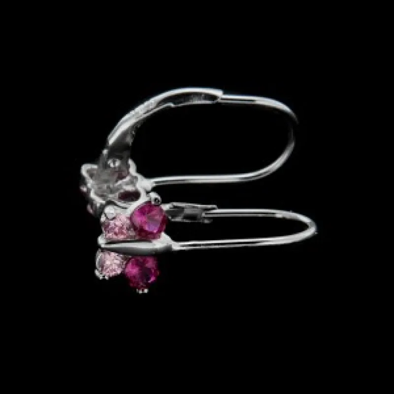 Strieborné náušnice s klasickým zapínaním KA E1725 R