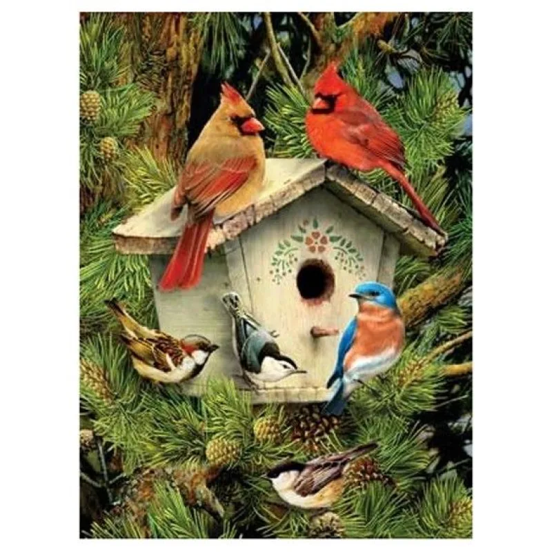 Royal Langnickel Malování podle čísel - Ptáčci u budky 22 x 30 cm